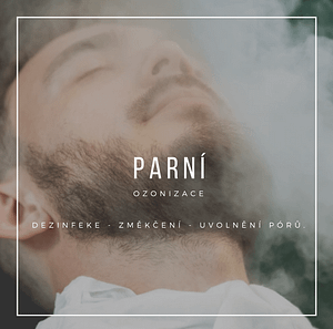 Parní ozonizace